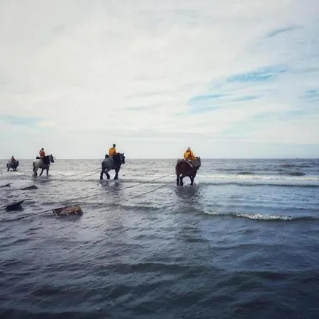 In Near The Beach, Cleaning Included Остдёйнкерке